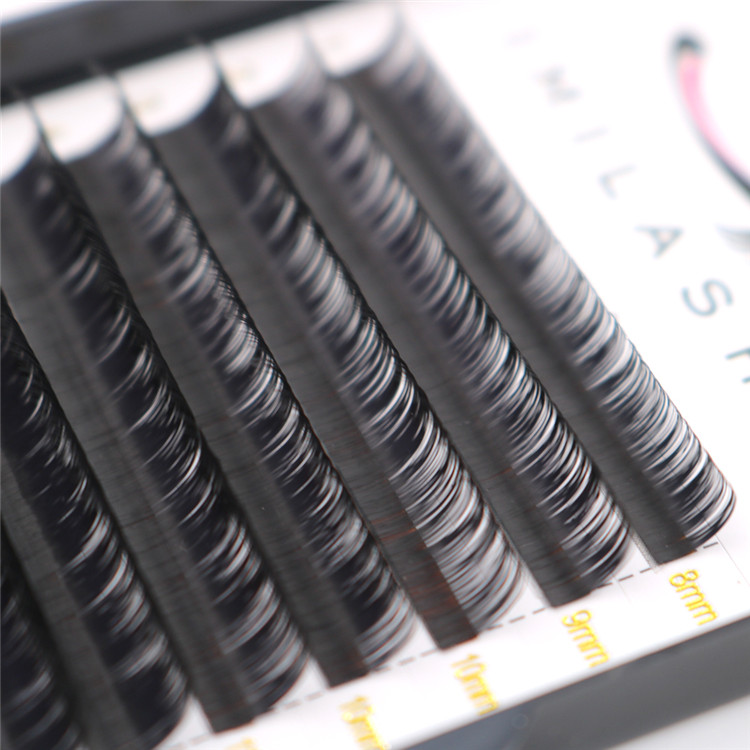 Natural looking false eyelashes and eyelash growth products-D